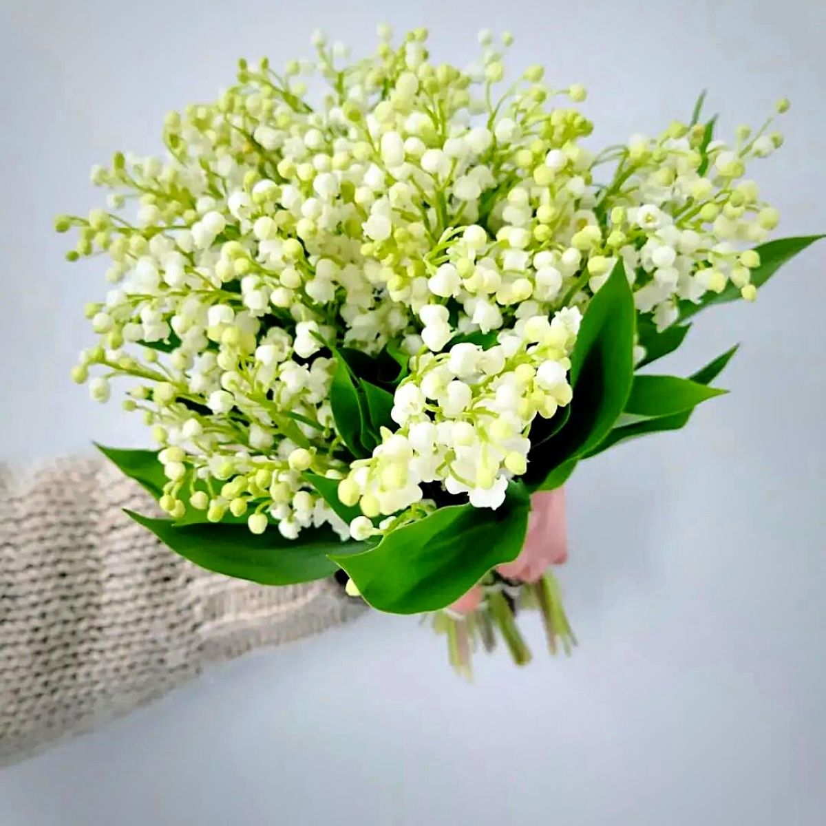 A bouquet of lily of the valley may birth flowers