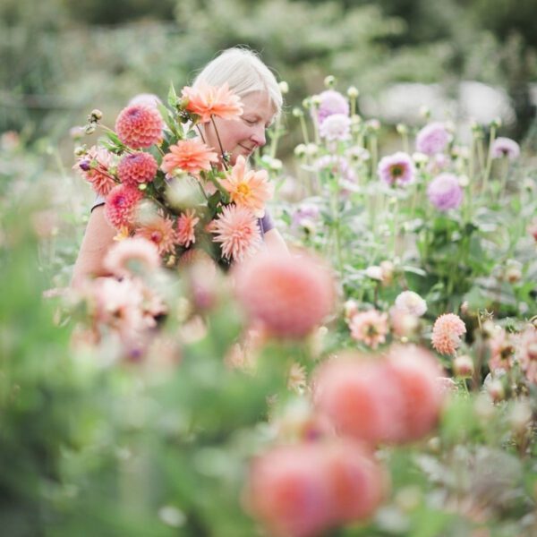 Carol, From Carol's Garden in This Floral Interview - Article on Thursd (2)