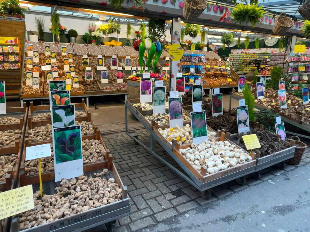 Amsterdam Flower Market