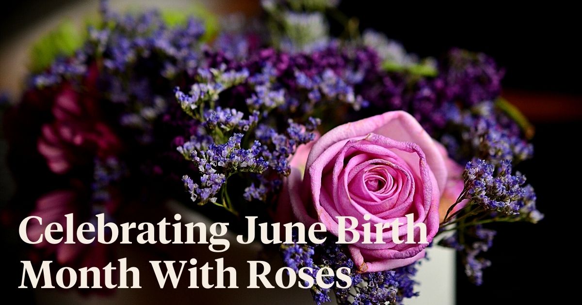 Header image floral arrangement with a pink rose