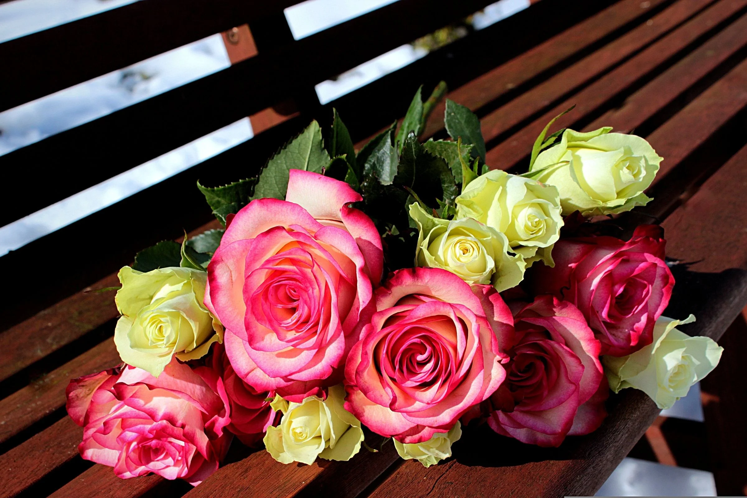 pink and white roses large feature image.webp