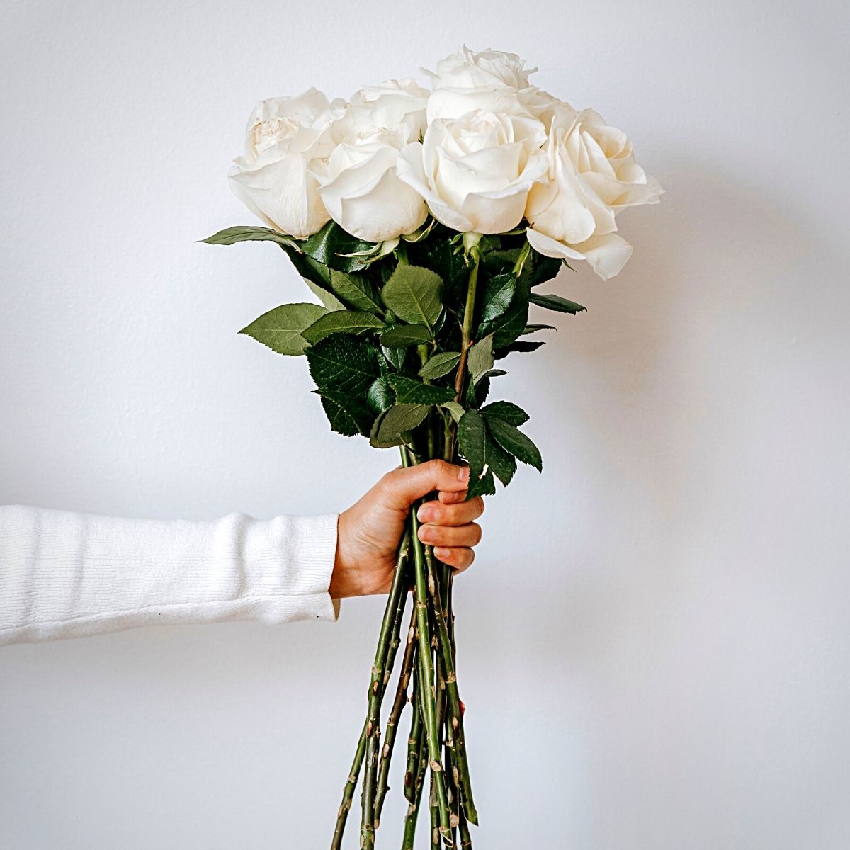 White roses birth flowers