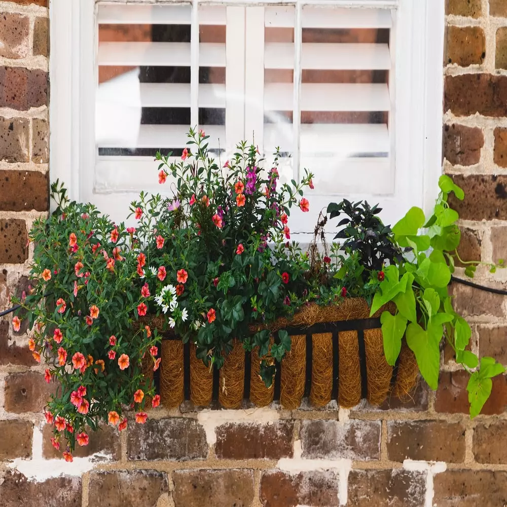Eco-friendly window treatments