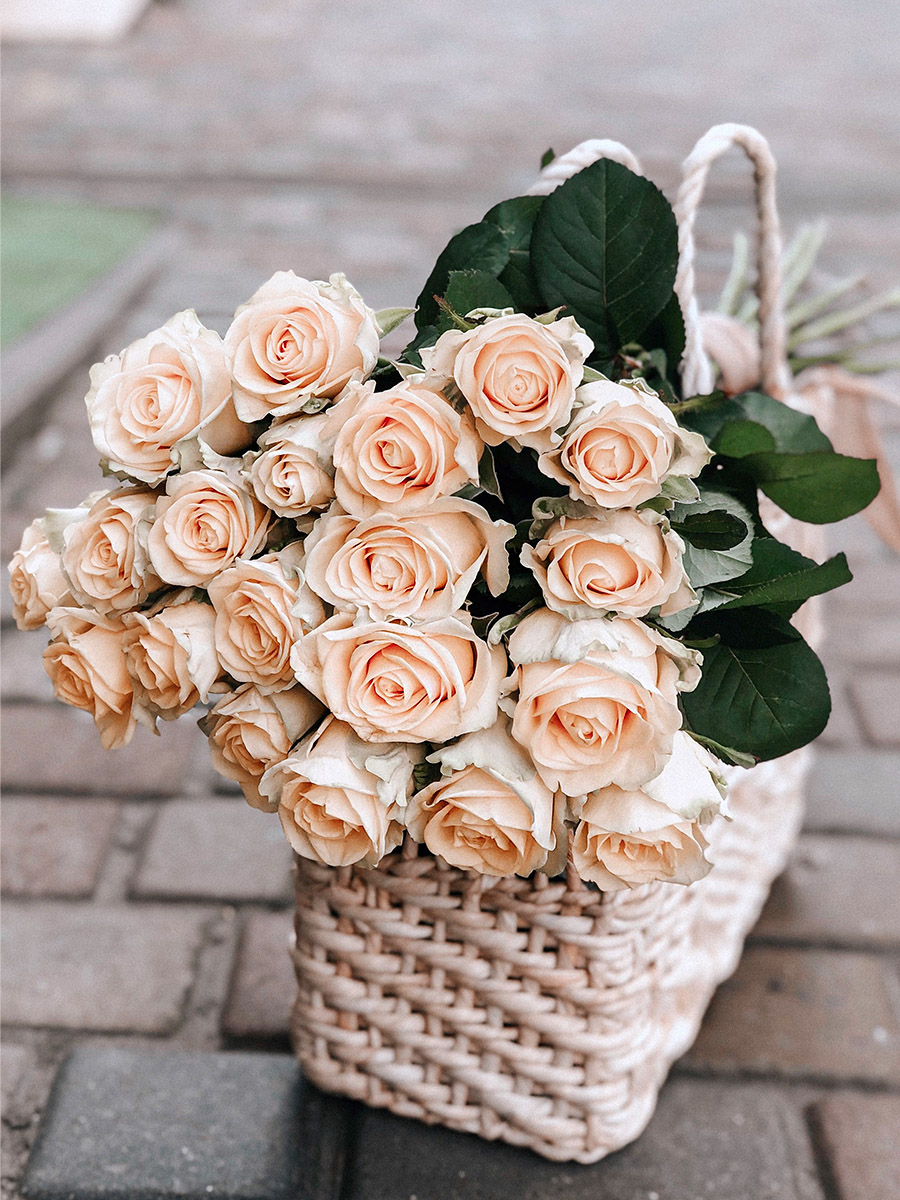 Pink Rose in a basket birth flower