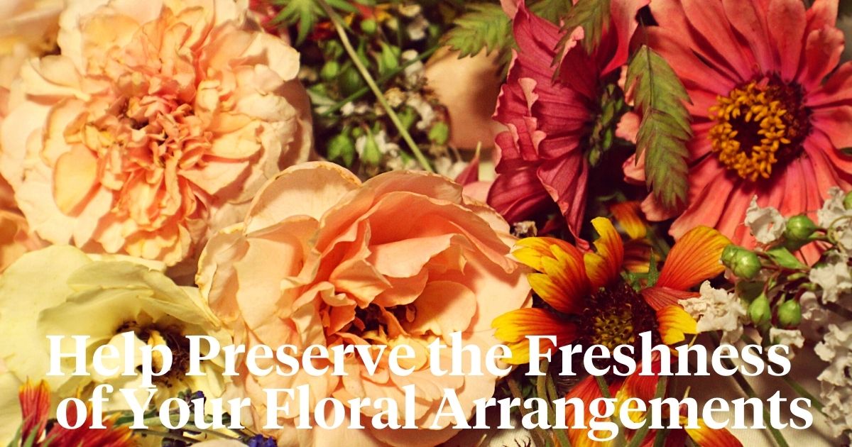 Help preserve freshness of your floral arrangements header