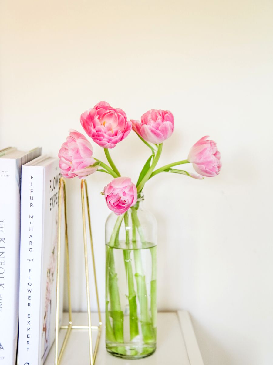 The art of stem trimming is a great tip for more blooming flowers