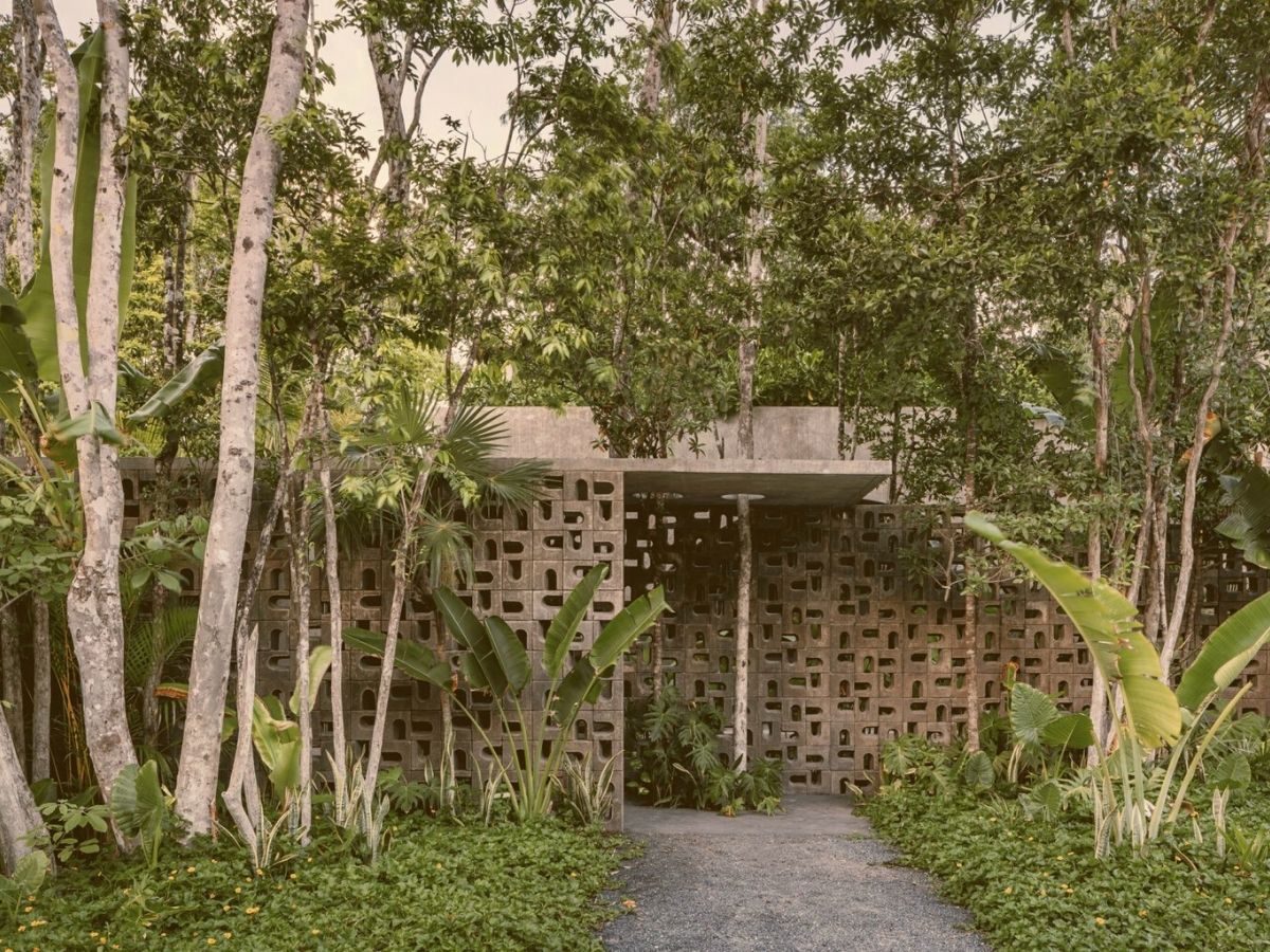 Lush jungle in Tulum's Villa Petricor holiday home
