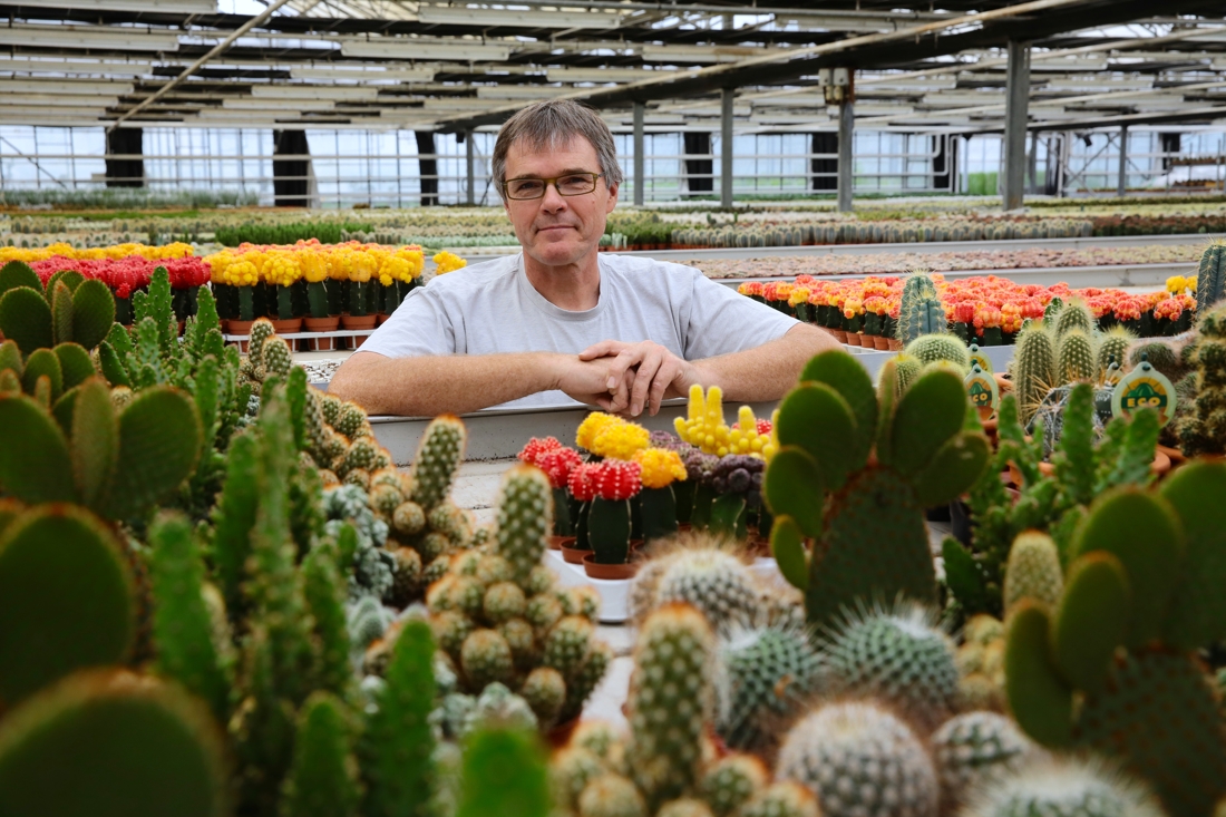 Cactus Nursery Ariane - the Valhalla for Cactus Lovers Hans Van de Voorde