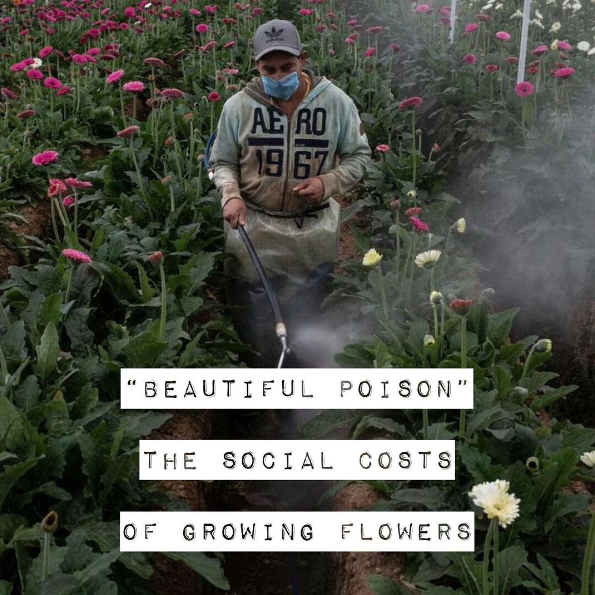 Beautiful poison sustainability campaign