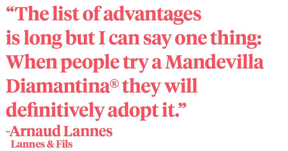 Arnaud Lannes Mandevilla Diamantina quote