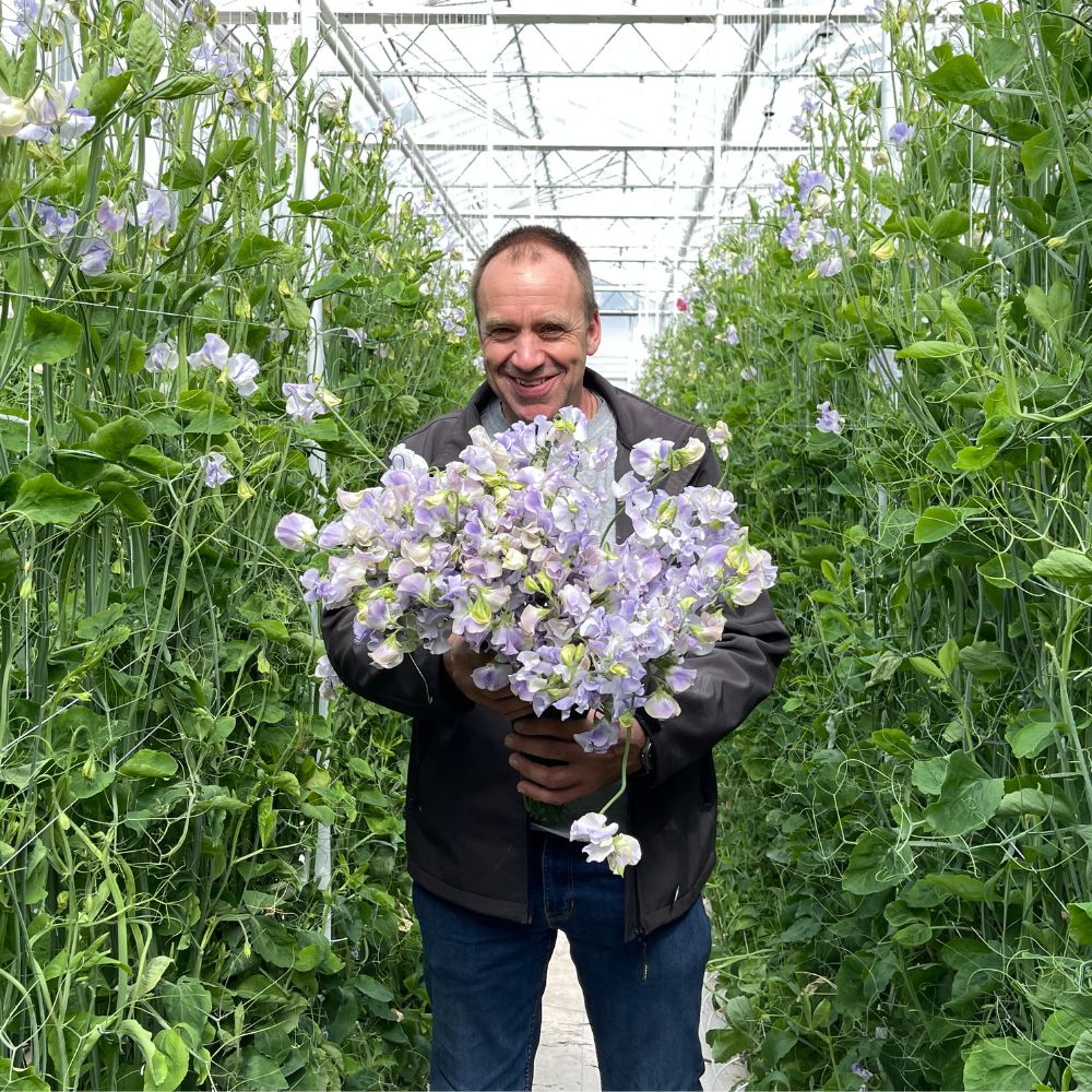 Visiting Lathyrus grower  - Rob Hoogeveen
