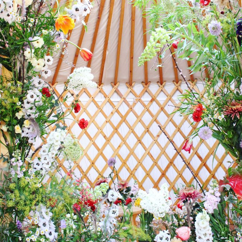 Lucinda van der ploeg Yurt with flowers