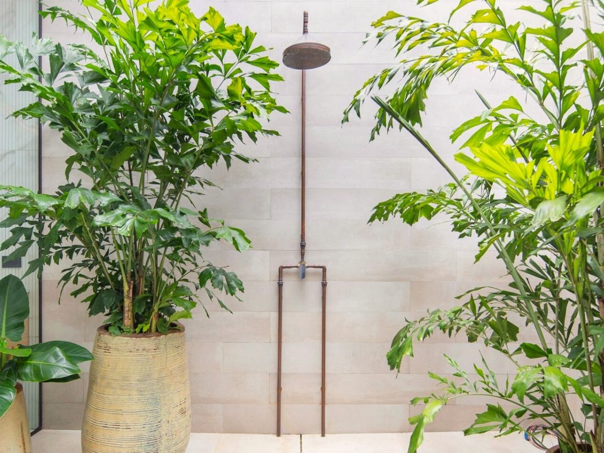 Shower in Costa Rica with outdoor greens