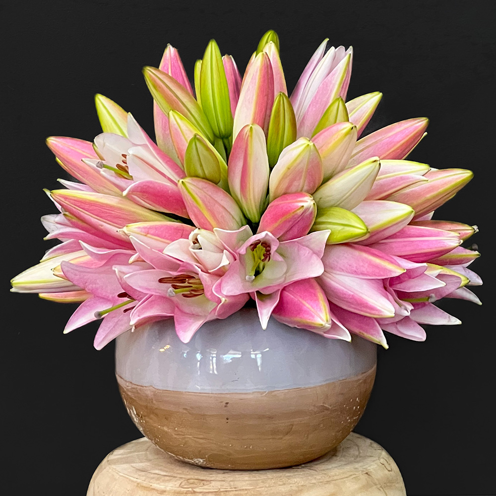Claudia Tararache pink lily design white-brown pot