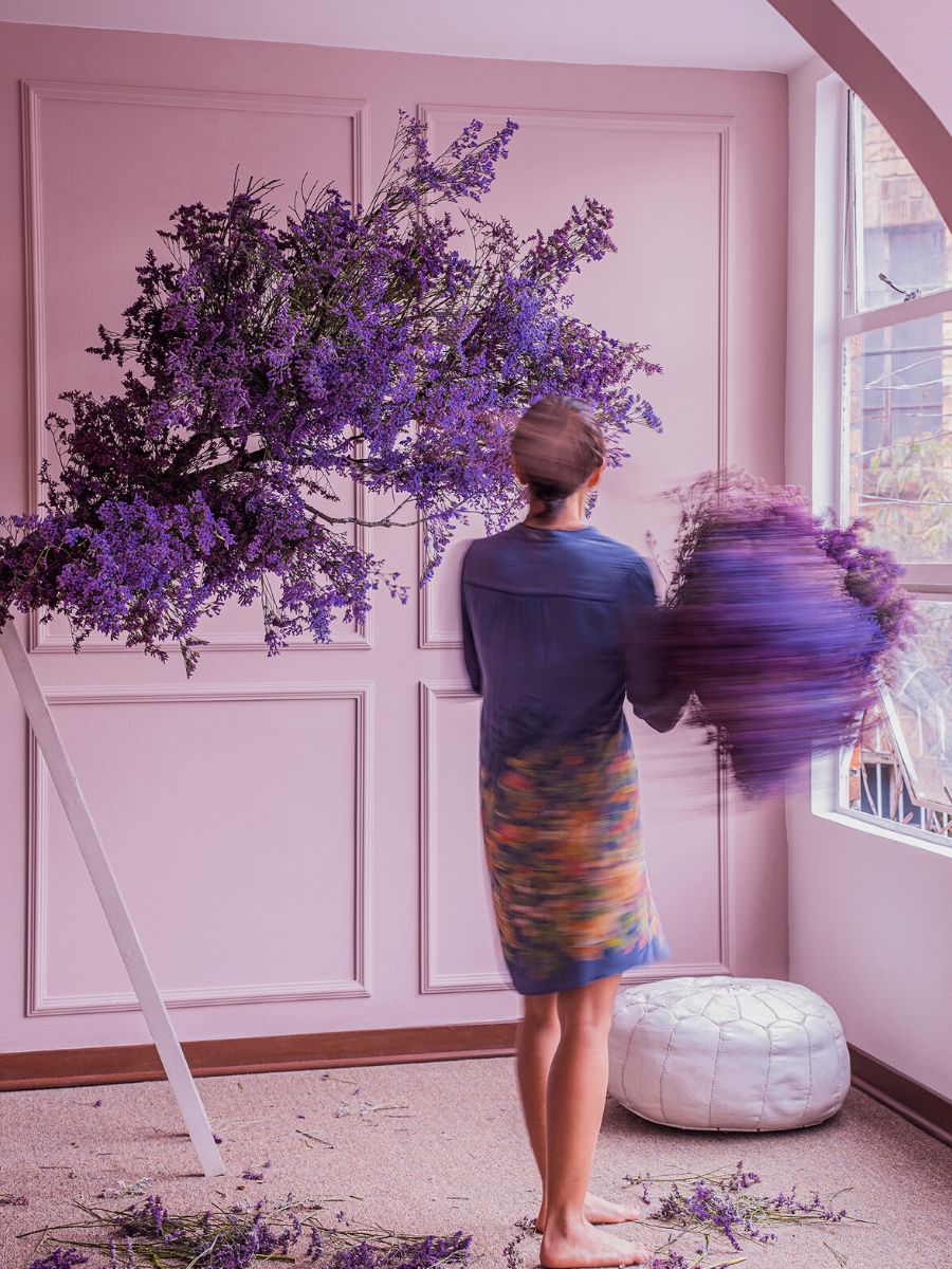 Limonium shooting star used for decorative purposes