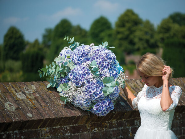 Discover These 2021 Hydrangea Newcomers