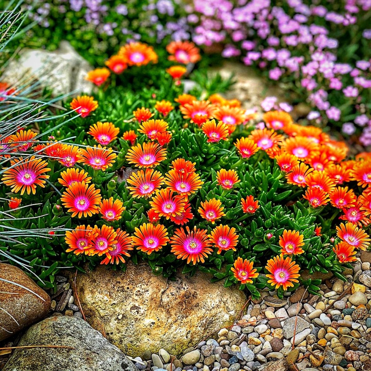 Rock Your Garden Ideas To Help You Create A Stunning Rock Garden Art 3934