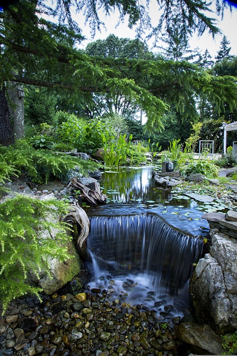 A water rock garden 