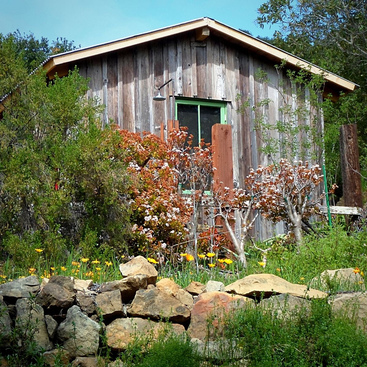 cottage rock garden setting