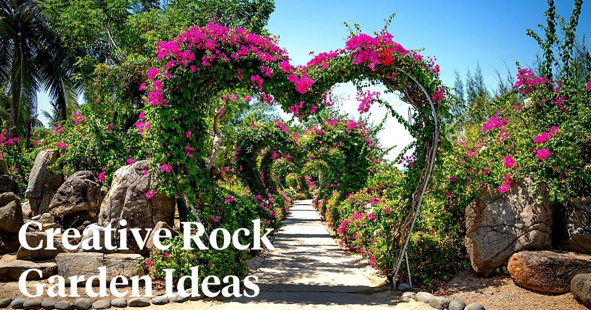 Rock garden flora setup