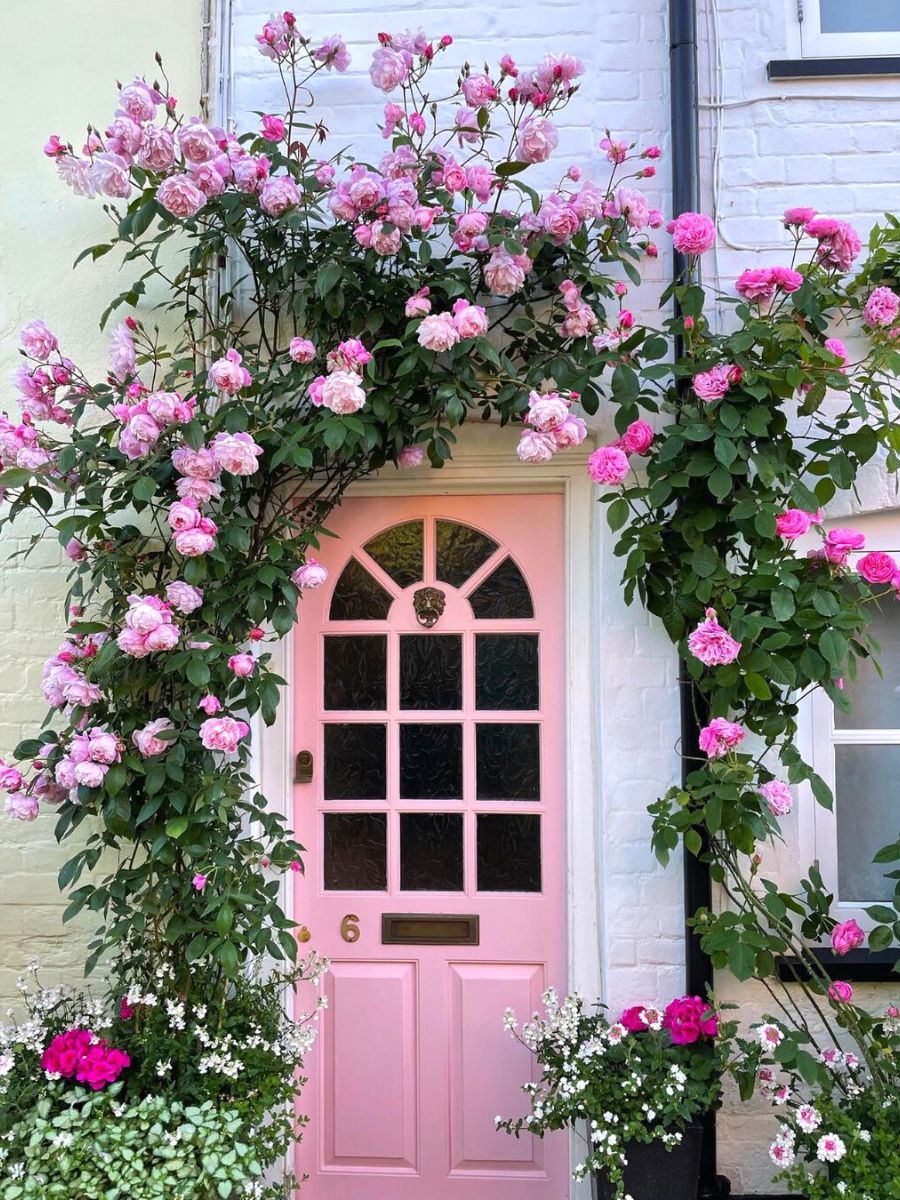 House with climbing roses around