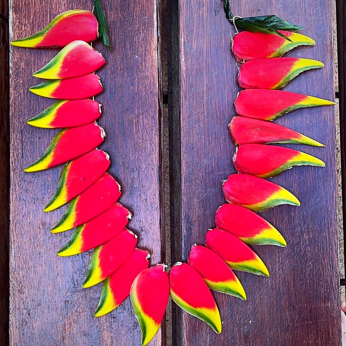 Heliconia flowers used in Lei Day leis