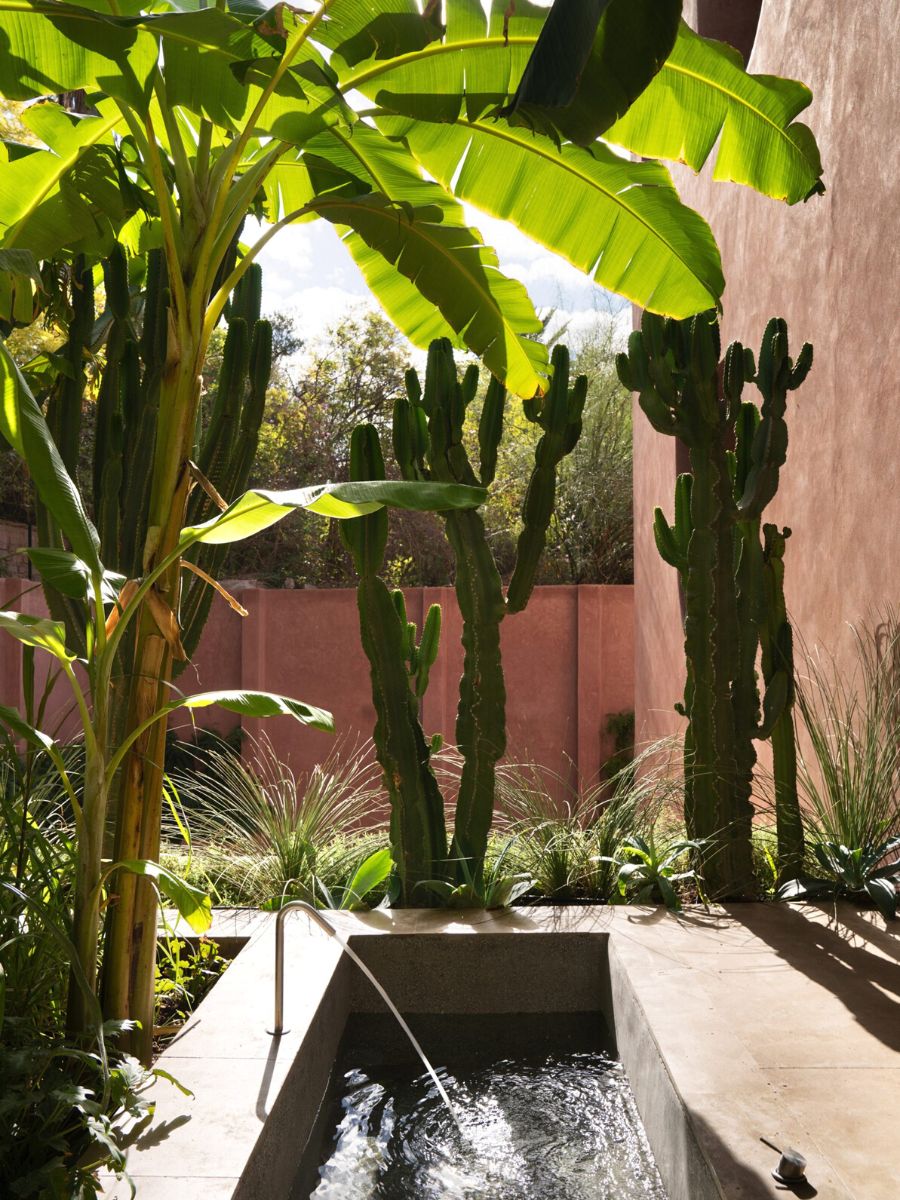 Garden space outside Marrakech hotel