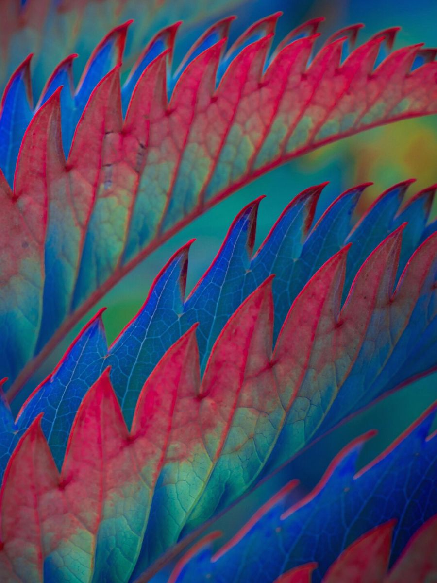 Tom Leighton uses colors to create depth