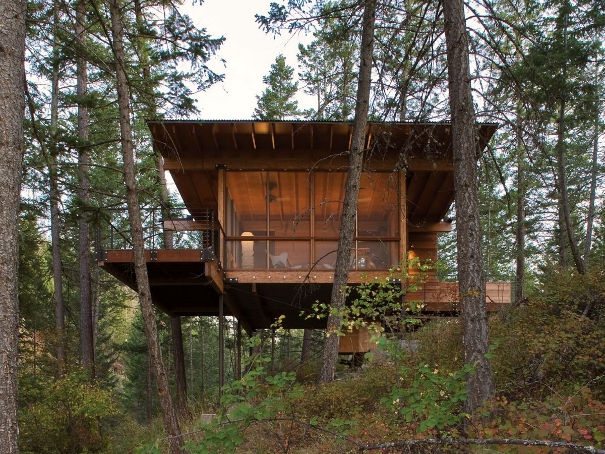 Andersson-Wise builds forest house in the US