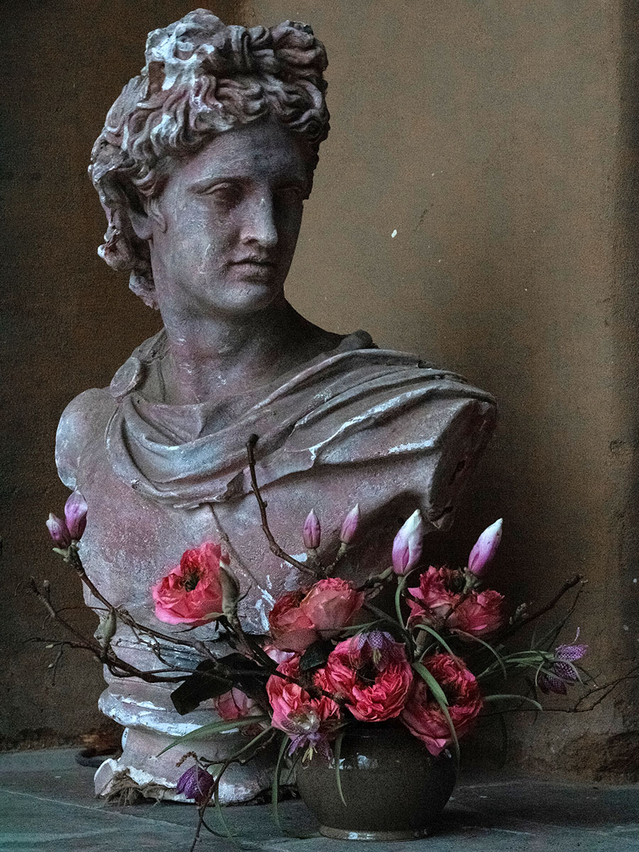Sari van Weije Rose Pink X-Pression with bust