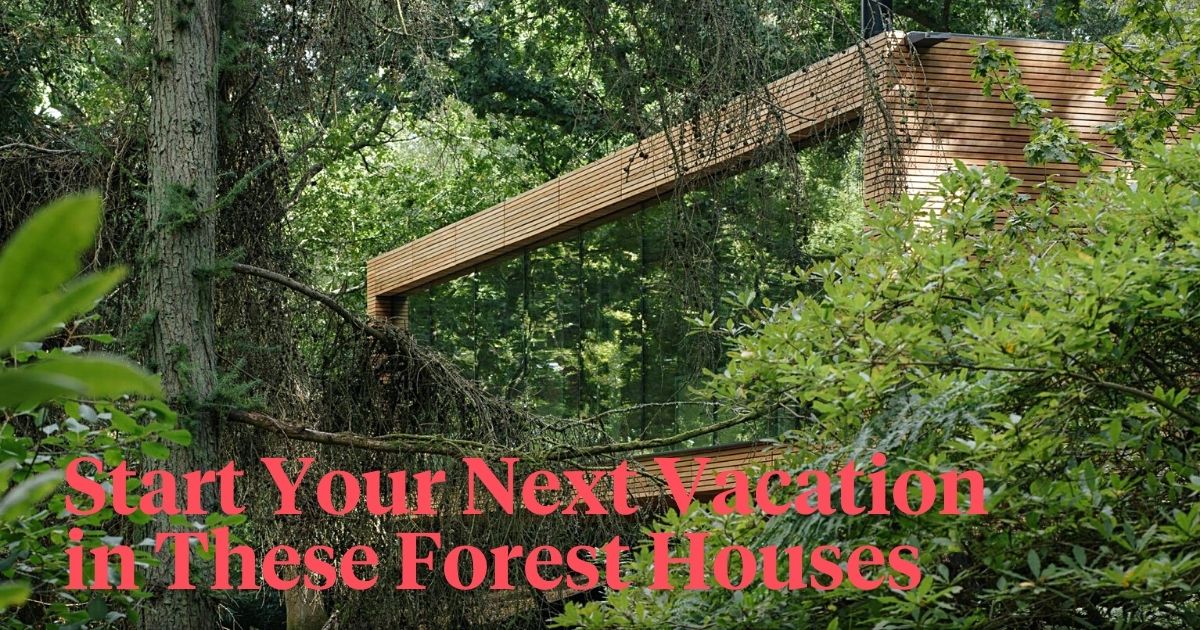 Forest houses for your next stay header