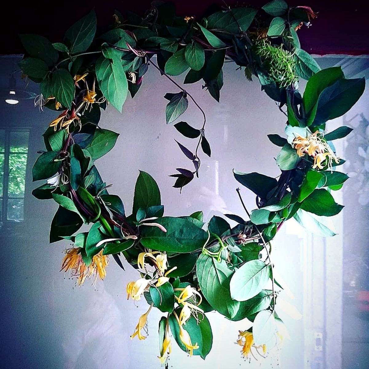wreath made of honeysuckle flowers and foliage