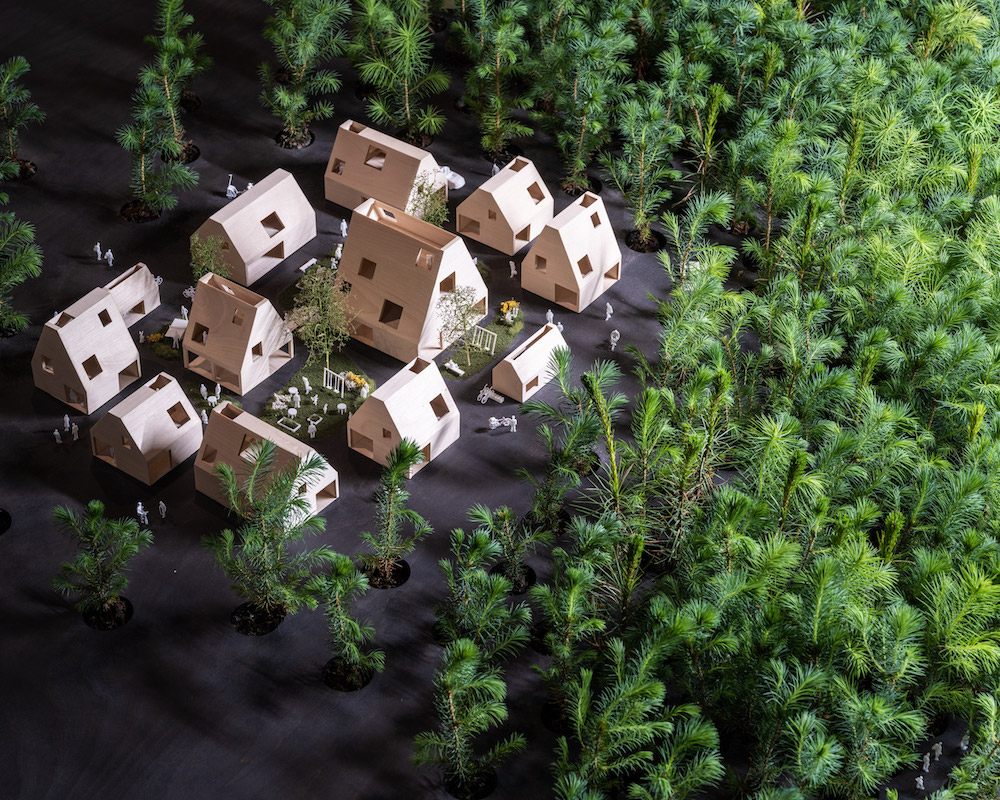 EFFEKT Plants 1,200 Trees to Grow During the Venice Architecture Biennale Sustainable Living