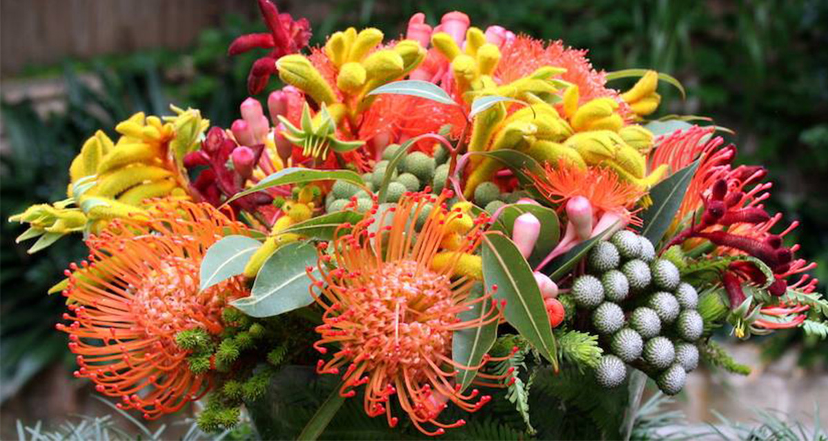 What Cut Flower Is That Australian flower bouquet