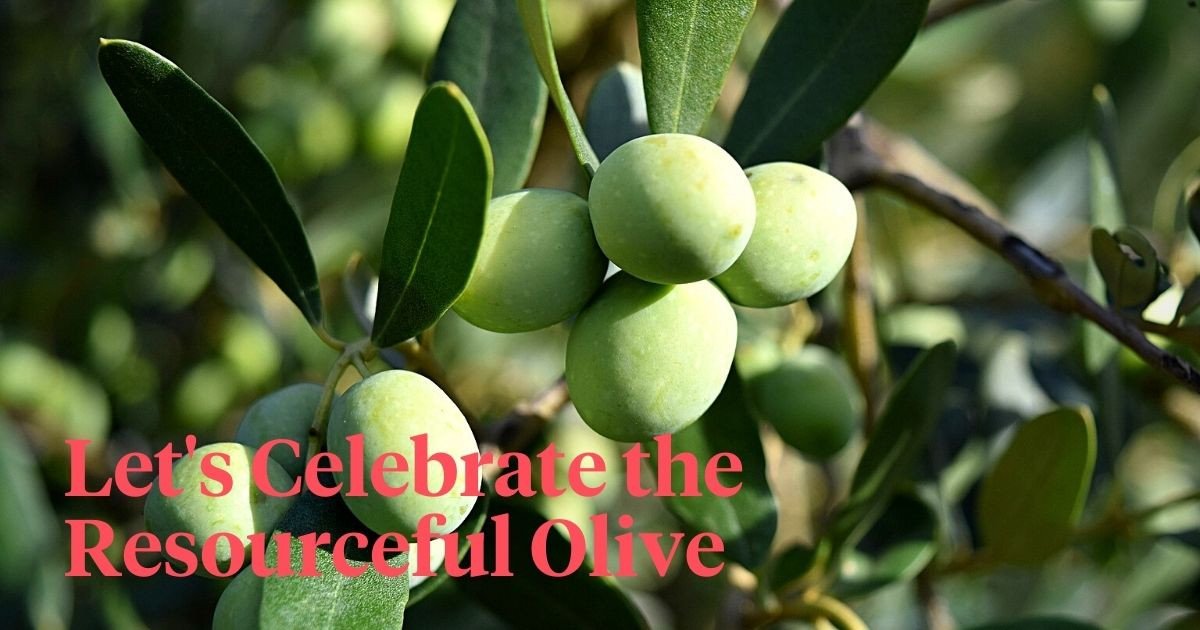 National Olive Day Is a Time to Celebrate Olives