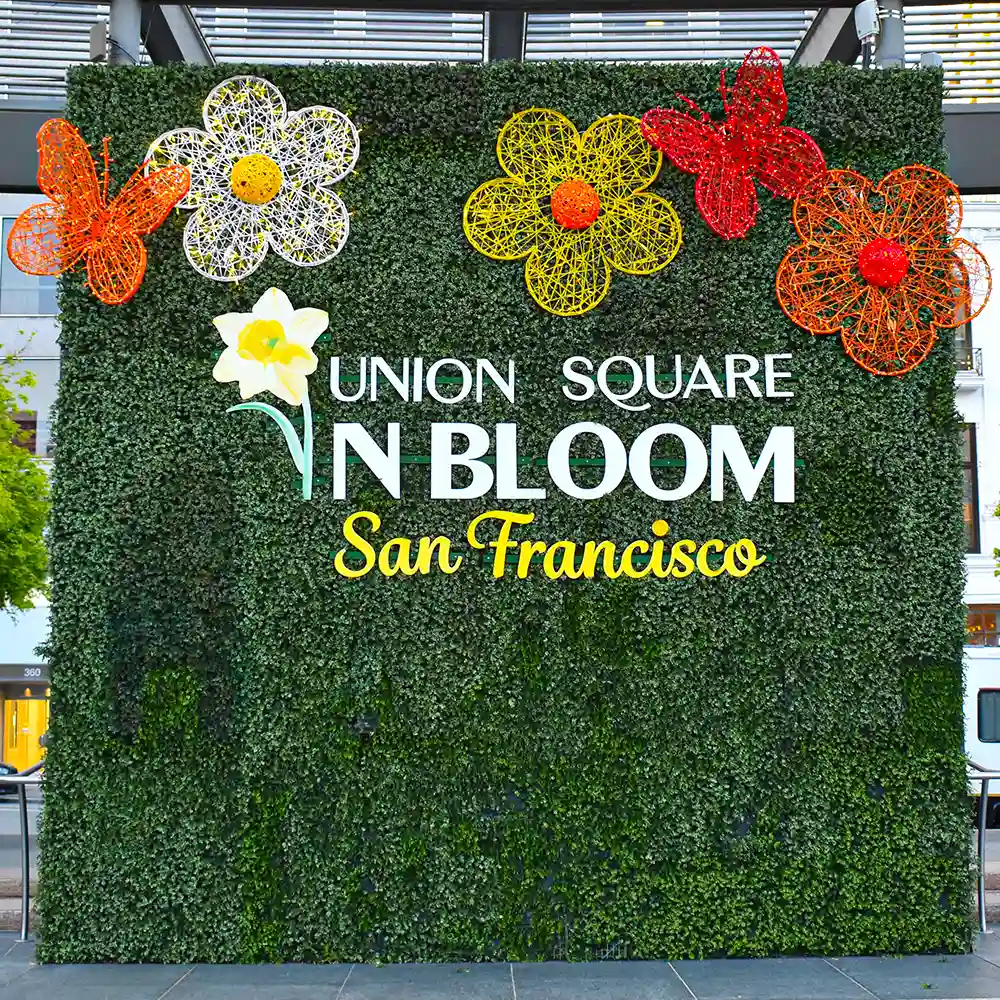 Union Square in Bloom 2023 feature on Thursd