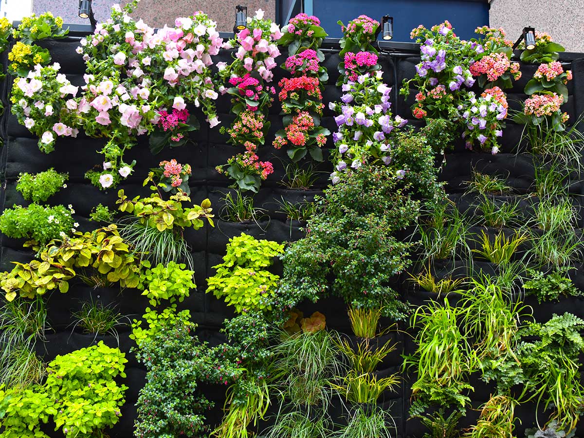 Union Square in Bloom green wal