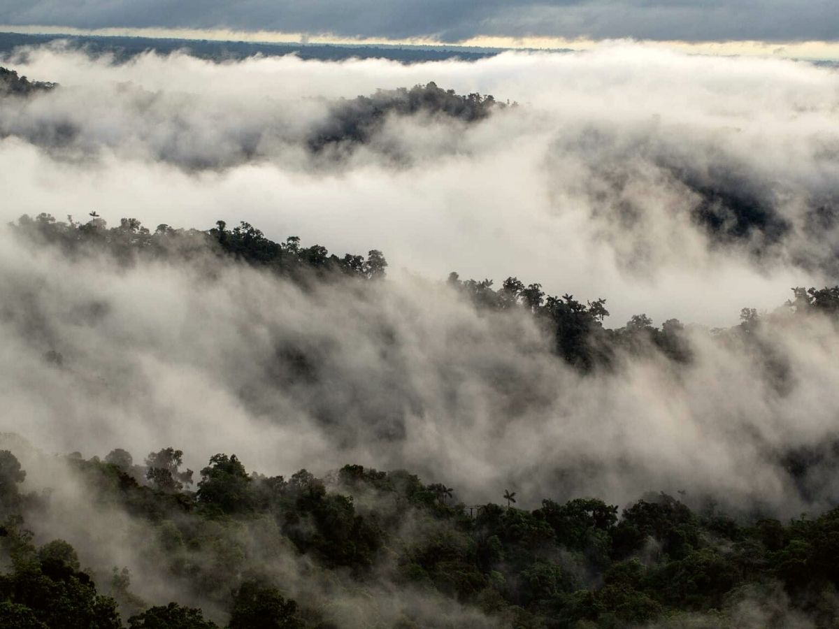Cloud view of rainforest at Mashpi