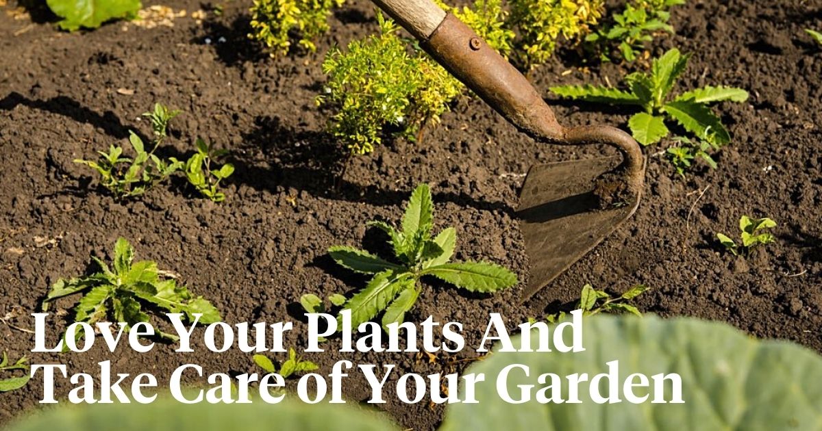 national weed your garden day
