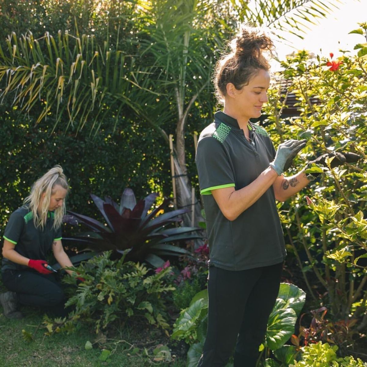 National Weed your garden day