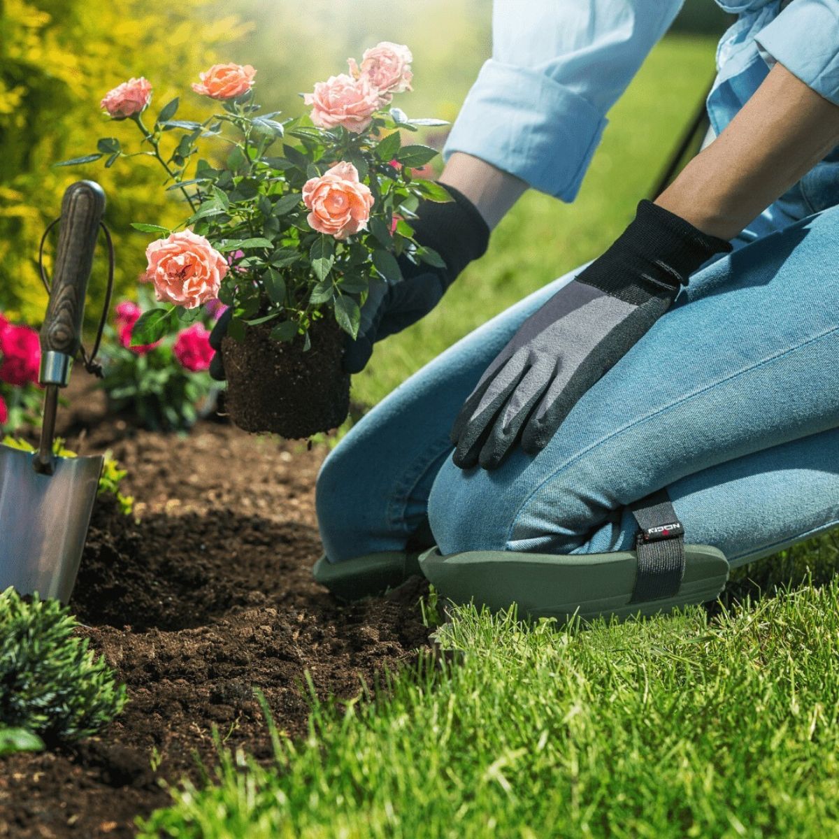 Celebrating National Weed Your Garden Day