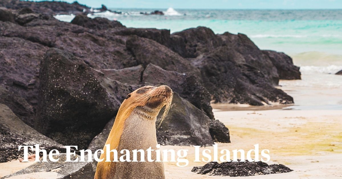 Enchanting Galapagos Islands header