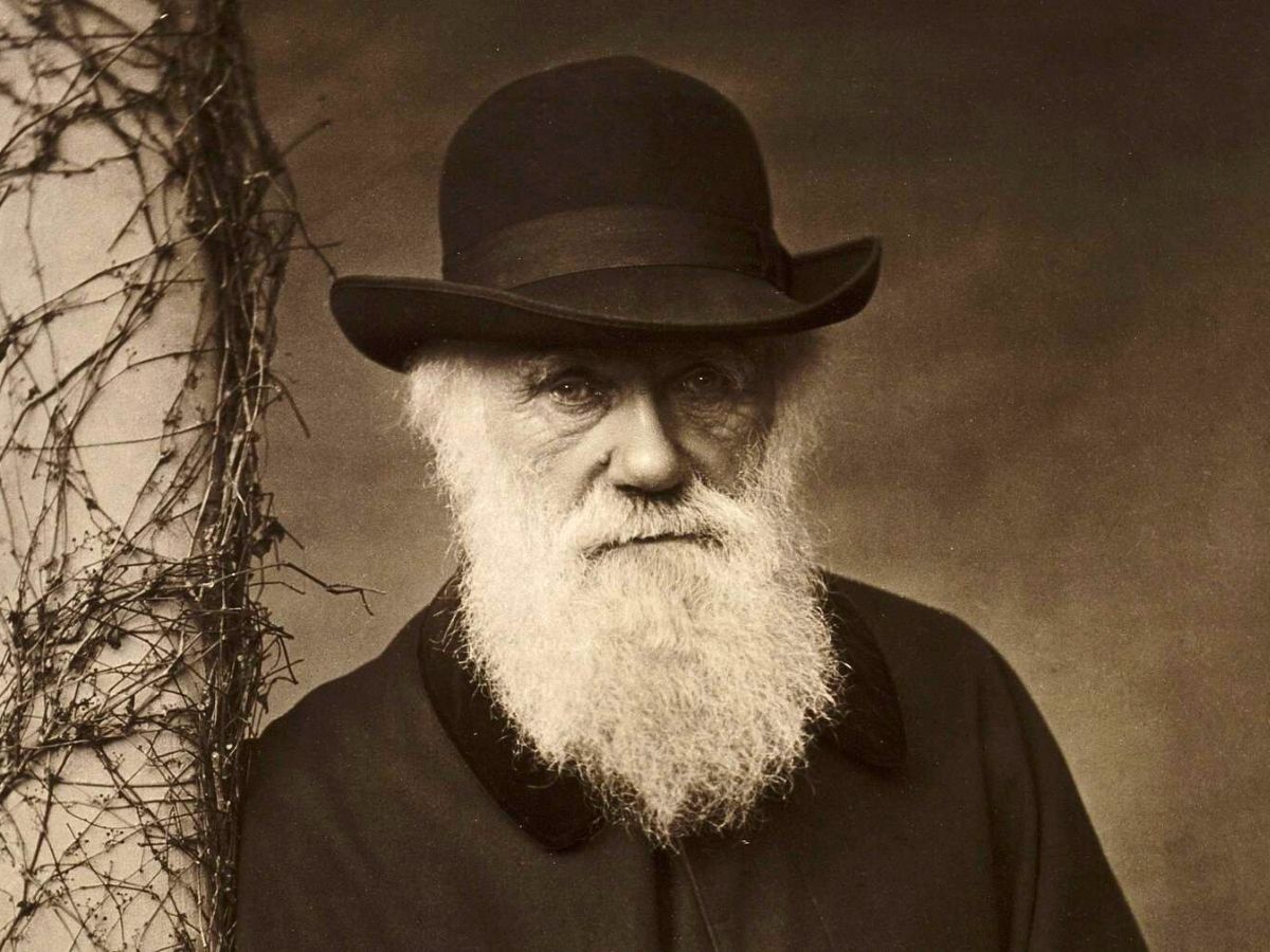 Charles Darwin evolution theory