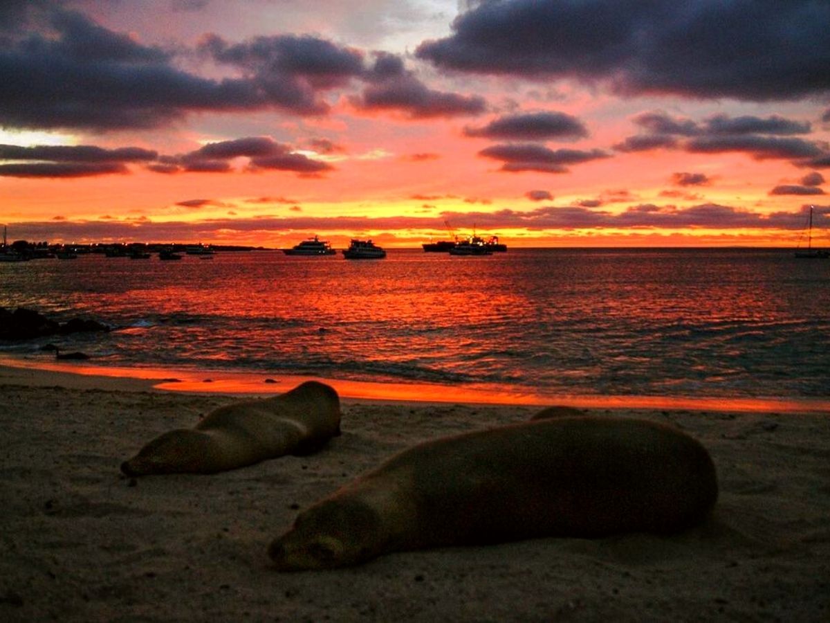 Galapagos Islands sunset