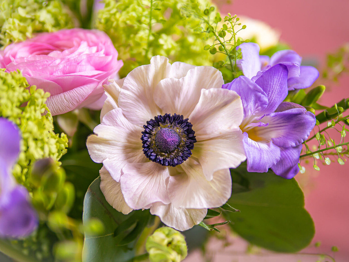 Euroflorist anemone bouquet