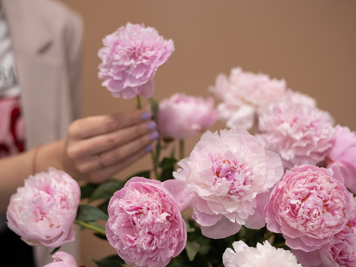 Euroflorist arranging peonies