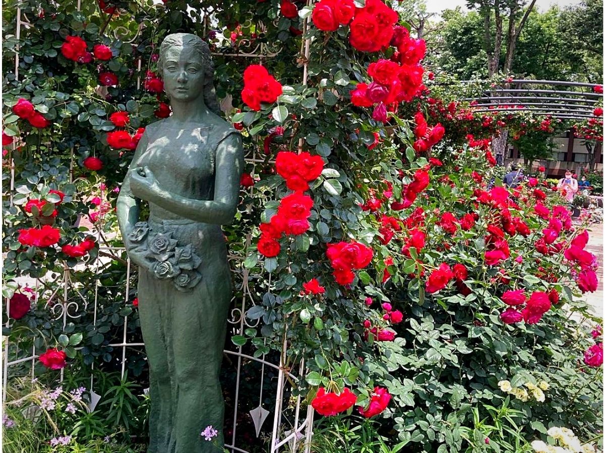 You can visit a red rose garden on National Red Rose day