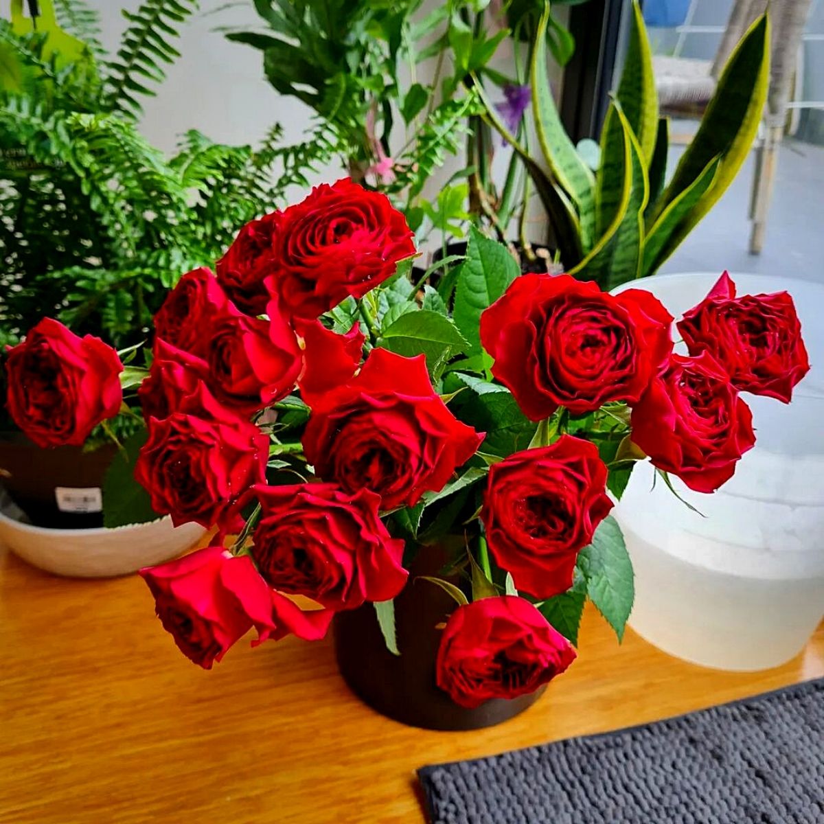 Red roses are a celebration of National Red Rose Day