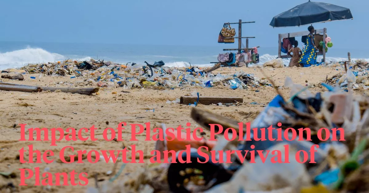 Impact of Plastic Pollution header
