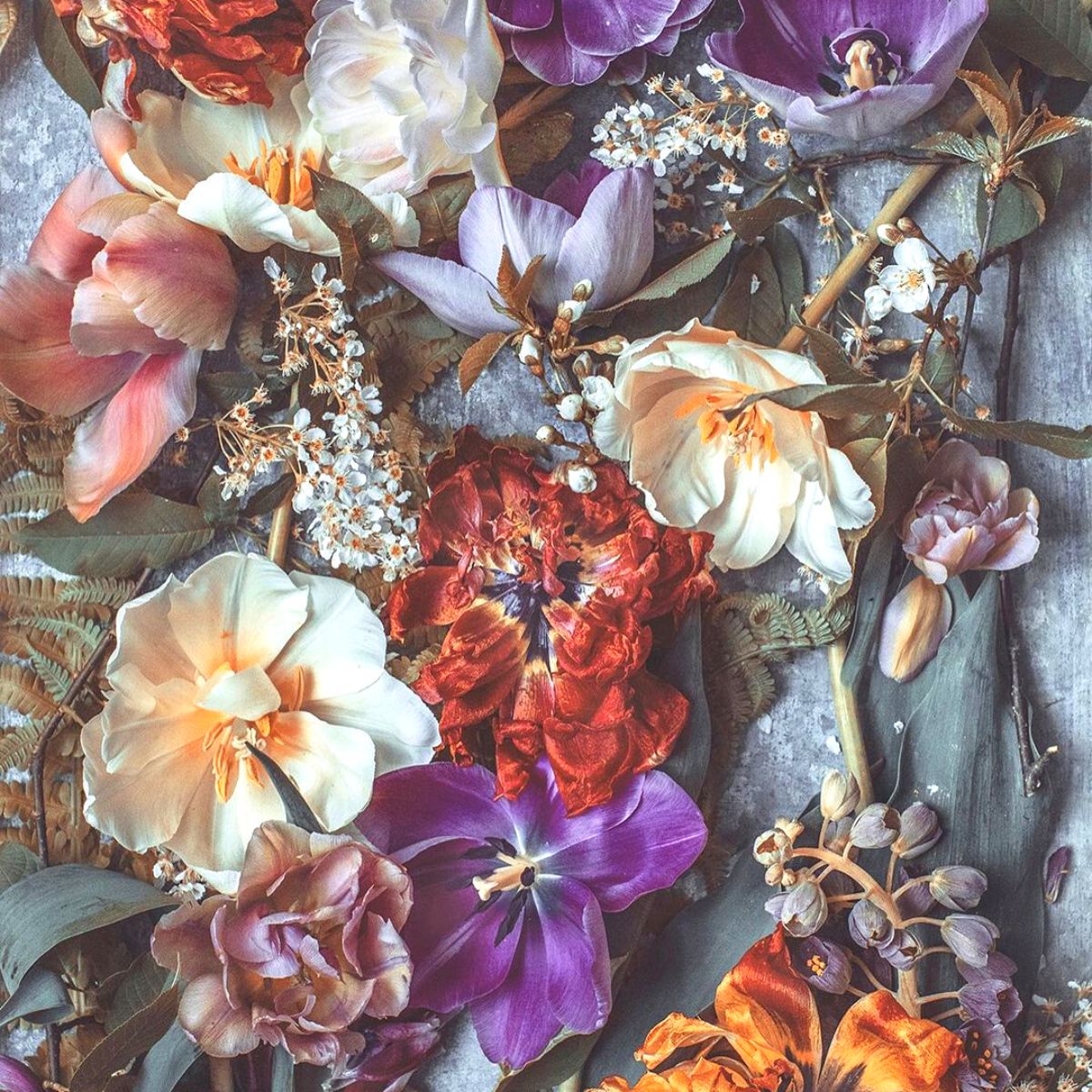 Kreetta Jarvenpaa loves using contrasting colors in flowers